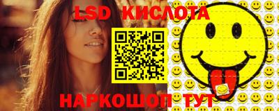 Альфа ПВП Краснознаменск