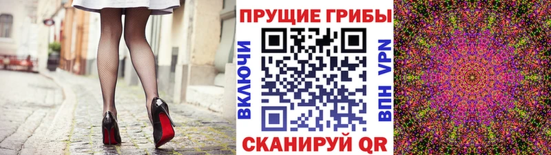 Псилоцибиновые грибы Psilocybine cubensis  Ефремов 
