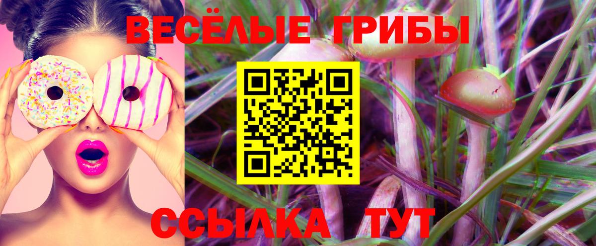 Псилоцибиновые грибы Psilocybe  Псилоцибиновые грибы Magic Shrooms  Ефремов  Вход с VPN 